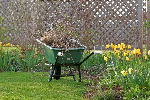 Flower Bed Cleanup Service in State College