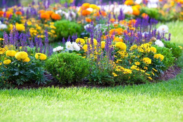 Flower Bed Maintenance in State College