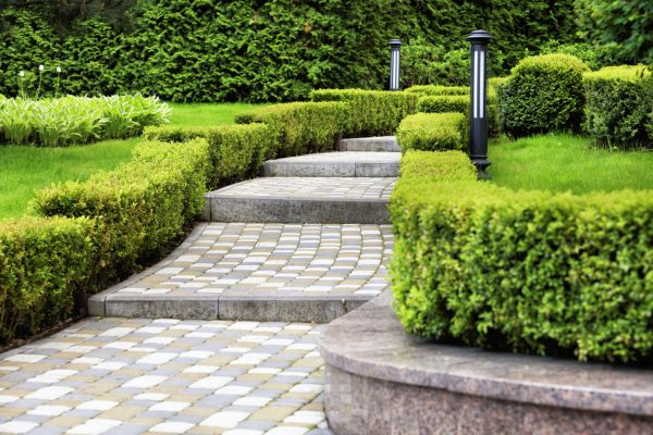 Backyard Remodeling in State College