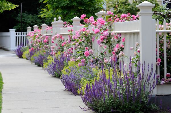 Garden Handyman Service in State College