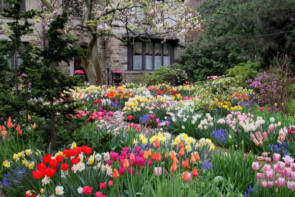 Garden Maintenance Service in State College