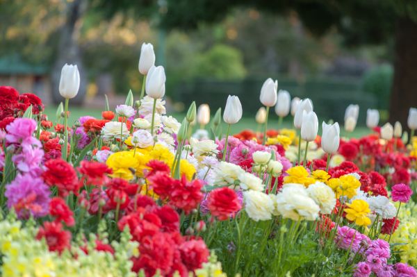 Gardening Service in State College