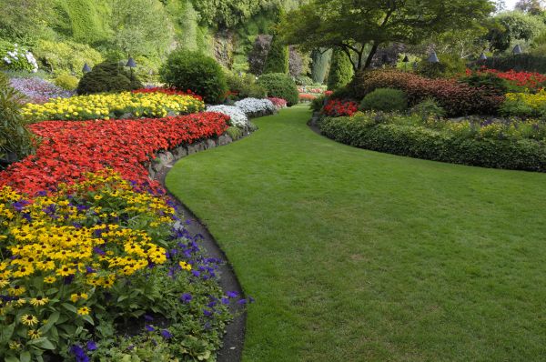 Landscaping Maintenance in State College