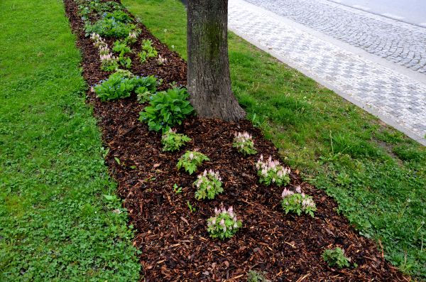 Mulch Replacement Service in State College