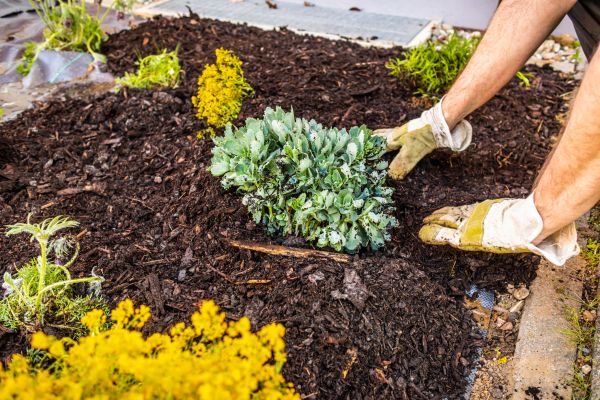 Weeding And Mulching in State College