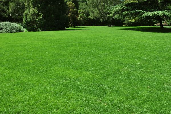 Lawn Landscaping in State College