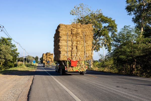Pine Straw Delivery in State College