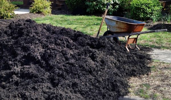 Black Mulch Delivery in State College