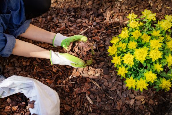 Garden Mulching in State College