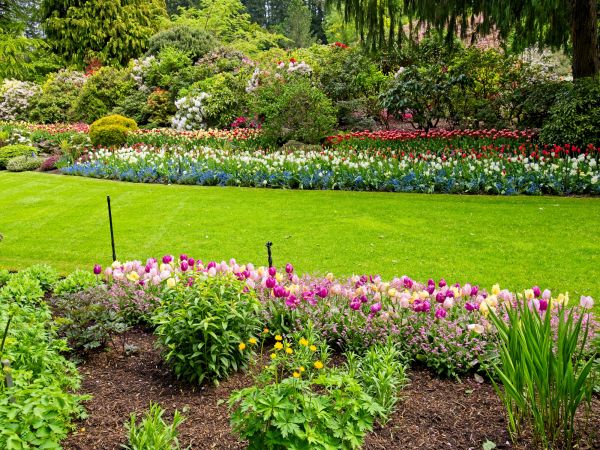 Residential Landscape Design in State College