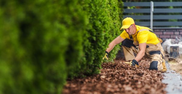 Cypress Mulch Installation in State College