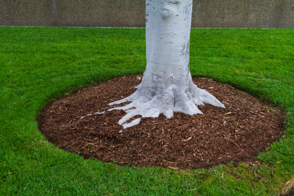 Brown Mulch Installation in State College