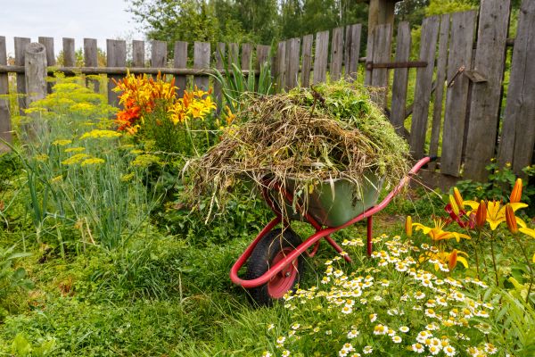 Garden Cleanup Service in State College