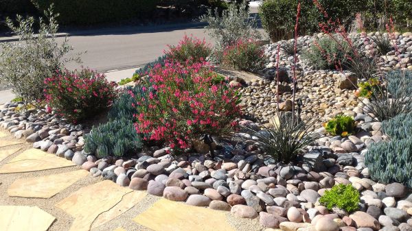 Xeriscape Landscaping in State College