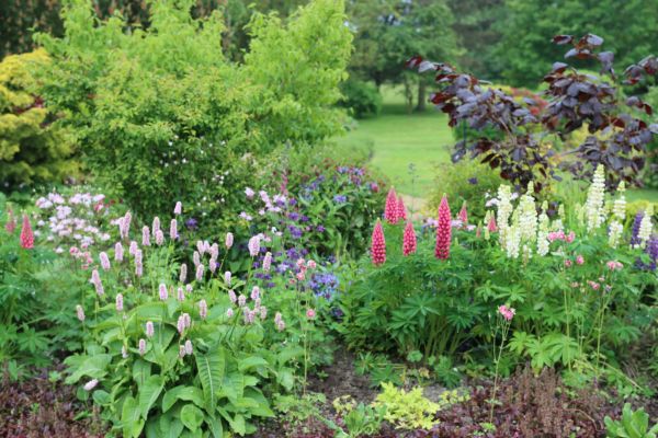 Flower Bed Planting in State College