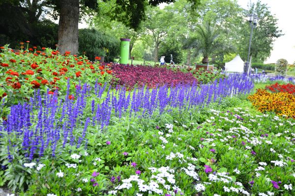 Perennials Planting in State College