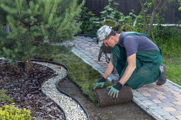Landscaping Modification in State College