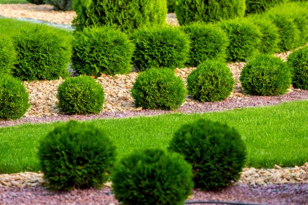 Bush Installation in State College