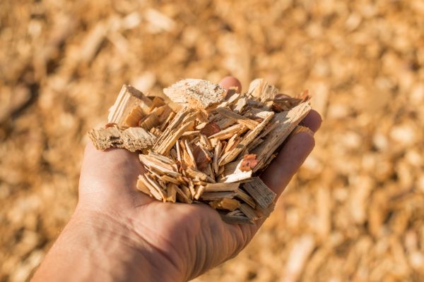 Wood Chips Spreading in State College