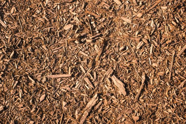 Wood Chips Removal in State College