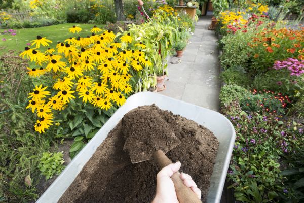 Topsoil Replacement in State College
