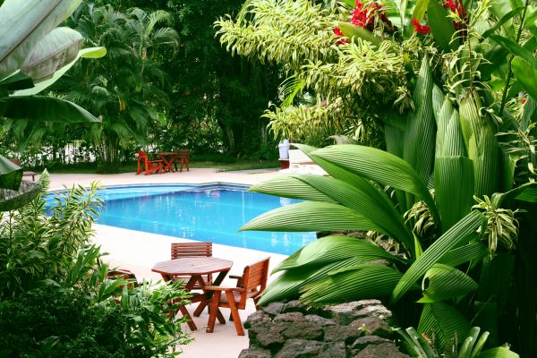 Pool Area Landscaping in State College