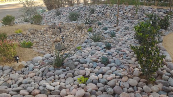 Yard Xeriscaping in State College