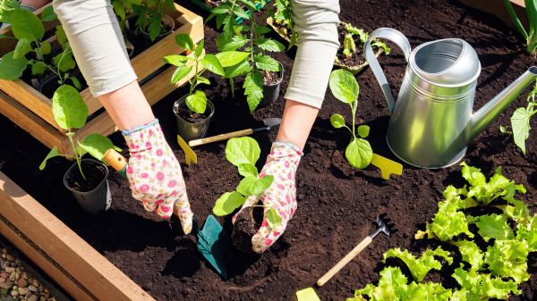 Garden Bed Installation in State College