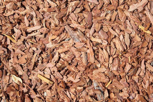 Pine Mulch Delivery in State College