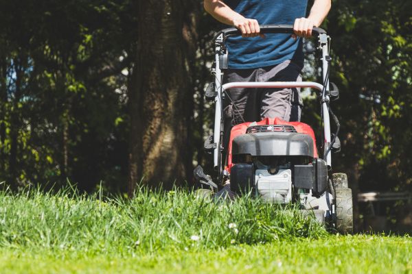 Garden Trimming Service in State College