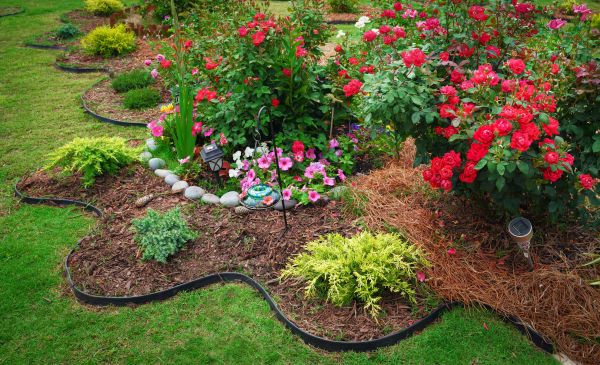 Floral Landscaping in State College