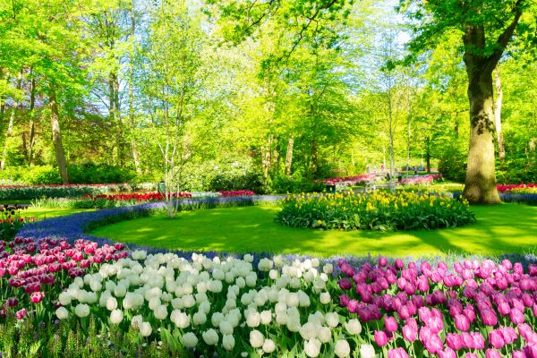 Flower Landscaping in State College
