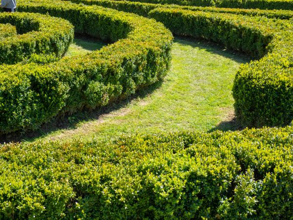 Bush Landscaping in State College