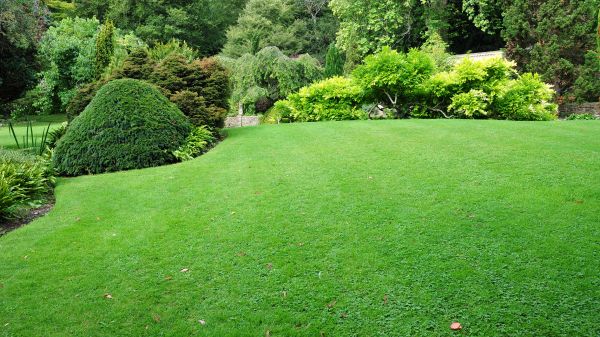 Commercial Landscape Design in State College