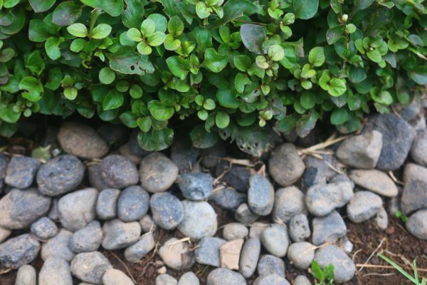 River Stone Installation in State College