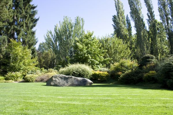 Yard Enlargement in State College