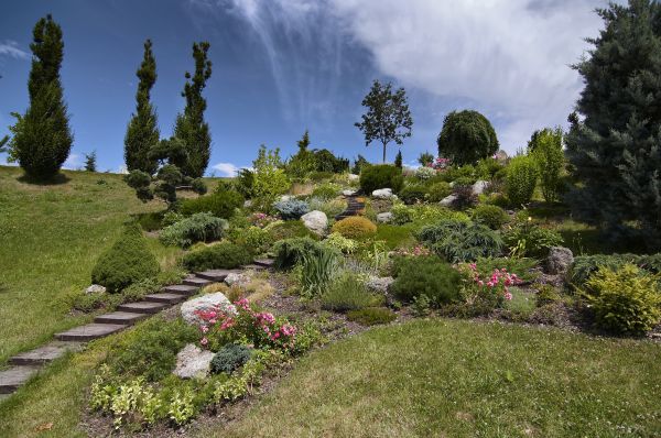 Steep Terrain Landscaping in State College