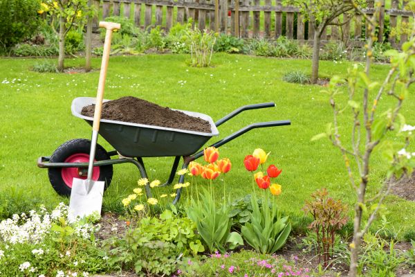 Spring Yard Renovation in State College