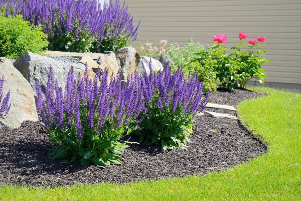 Landscape Planting Service in State College