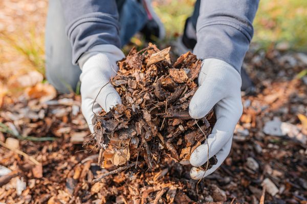 Shredded Mulch Installation in State College