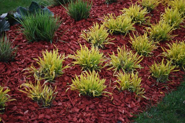 Red Mulch Installation in State College