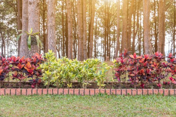 Small Garden Landscaping in State College