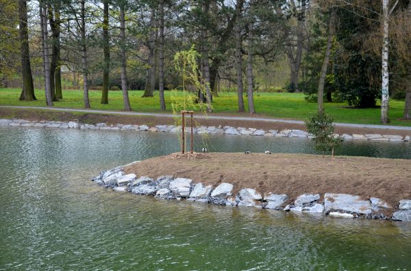 Pond Landscaping Service in State College