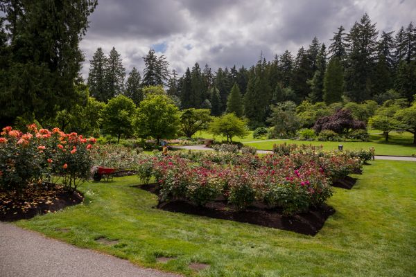 Flower Garden Landscaping in State College