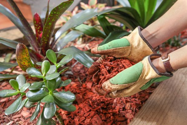 Cedar Mulch Installation in State College