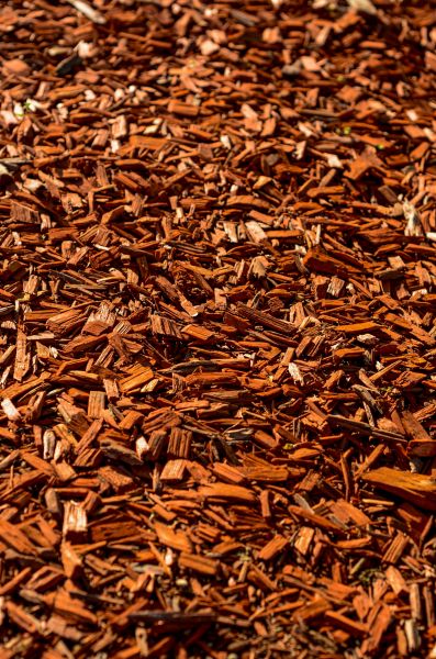 Cedar Mulch Spreading in State College