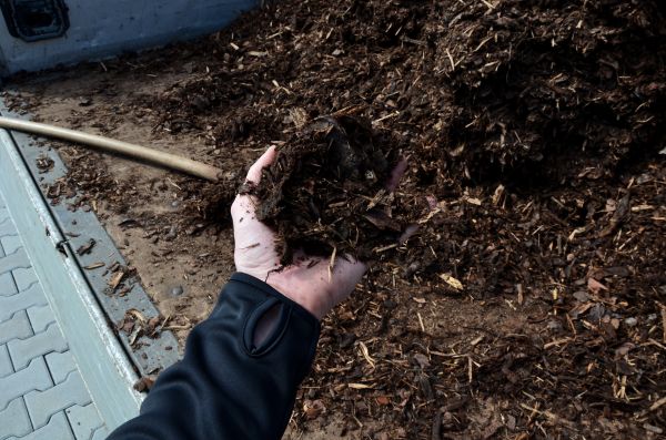 Condo Mulching in State College