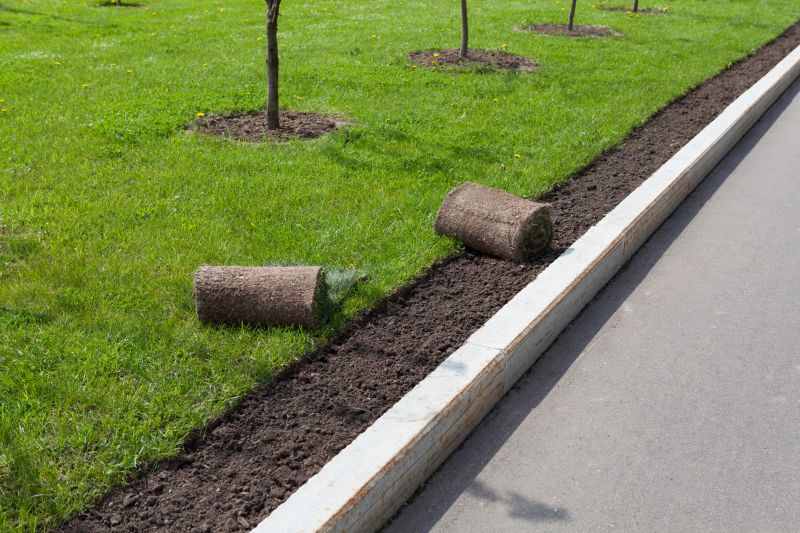 Curbing Installation